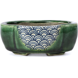  Satomi Mazan, Mazan Terahata Pot à bonsaï vert mokko 101 mm par Terahata Satomi Mazan, Tokoname, Japon