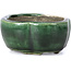 Mokko green bonsai pot by Terahata Satomi Mazan - 101 x 87 x 40 mm