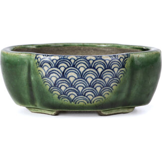 Satomi Mazan, Mazan Terahata Pot à bonsaï vert mokko 101 mm par Terahata Satomi Mazan, Tokoname, Japon