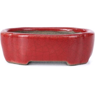 Satomi Mazan, Mazan Terahata 81 mm oval red bonsai pot by Terahata Satomi Mazan, Tokoname, Japan