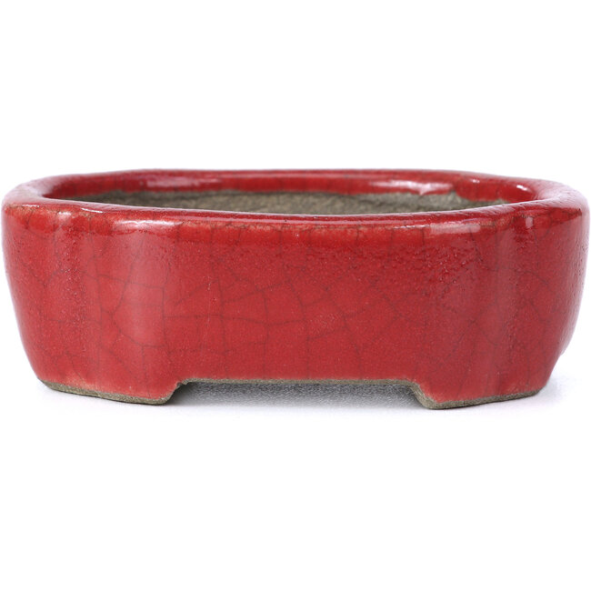 Oval red bonsai pot by Terahata Satomi Mazan - 81 x 63 x 27 mm