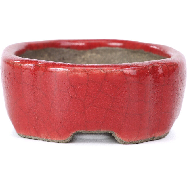 Pot à bonsaï ovale rouge par Terahata Satomi Mazan - 81 x 63 x 27 mm