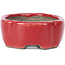 Oval red bonsai pot by Terahata Satomi Mazan - 81 x 63 x 27 mm