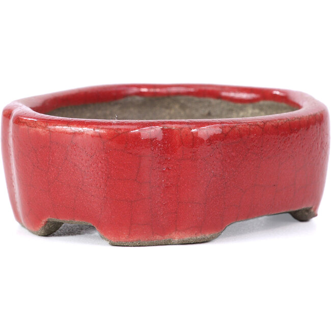 Ovale rote Bonsaischale von Terahata Satomi Mazan - 81 x 63 x 27 mm