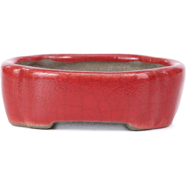 Maceta de bonsái roja ovalada de Terahata Satomi Mazan - 81 x 63 x 27 mm