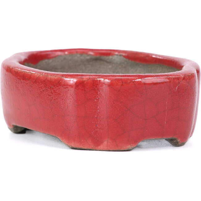 Pot à bonsaï ovale rouge par Terahata Satomi Mazan - 81 x 63 x 27 mm