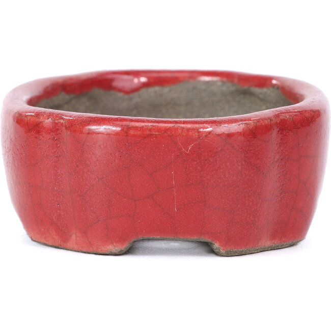 Oval red bonsai pot by Terahata Satomi Mazan - 81 x 63 x 27 mm