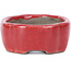 Oval red bonsai pot by Terahata Satomi Mazan - 81 x 63 x 27 mm