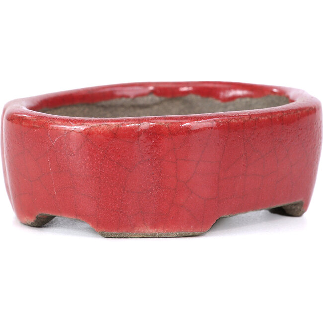 Ovale rote Bonsaischale von Terahata Satomi Mazan - 81 x 63 x 27 mm