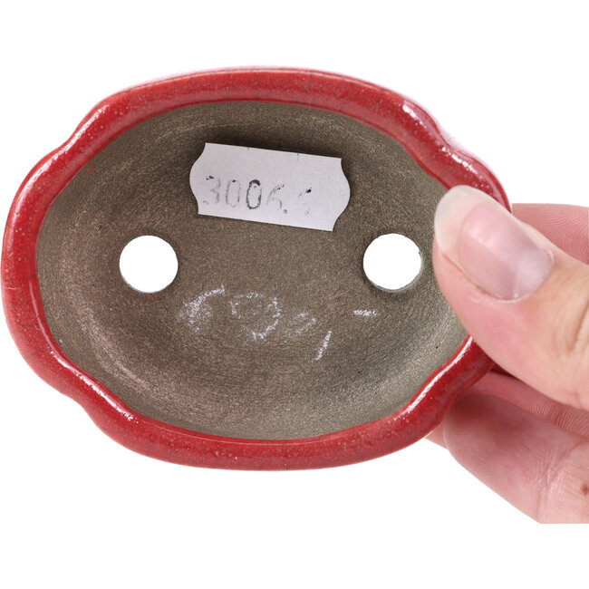 Oval red bonsai pot by Terahata Satomi Mazan - 81 x 63 x 27 mm