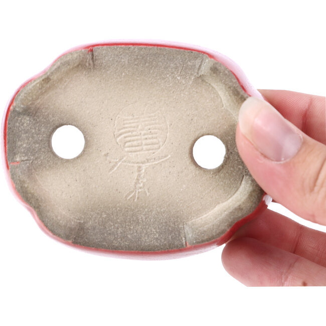 Maceta de bonsái roja ovalada de Terahata Satomi Mazan - 81 x 63 x 27 mm