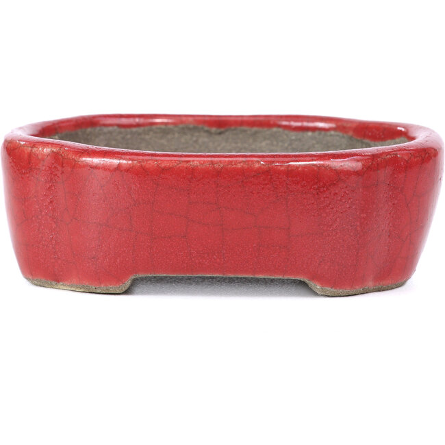 Ovale rote Bonsaischale von Terahata Satomi Mazan - 81 x 63 x 27 mm