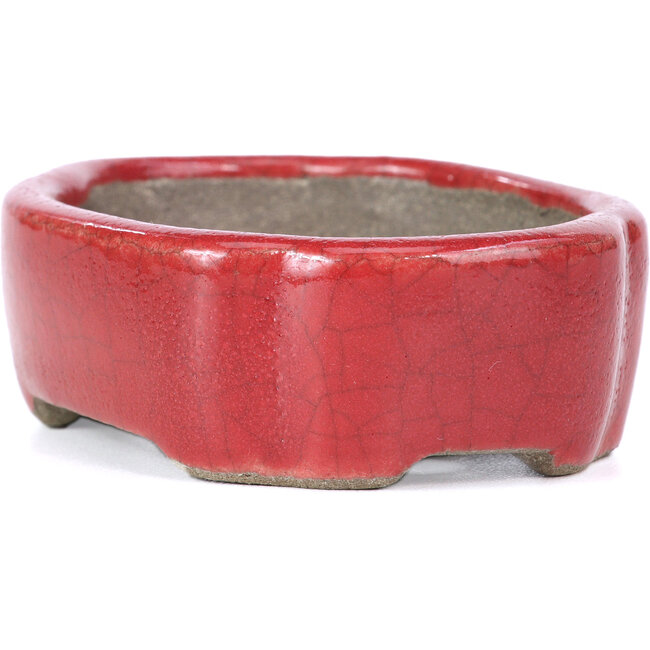 Pot à bonsaï ovale rouge par Terahata Satomi Mazan - 81 x 63 x 27 mm