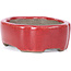 Ovale rode bonsaipot van Terahata Satomi Mazan - 81 x 63 x 27 mm