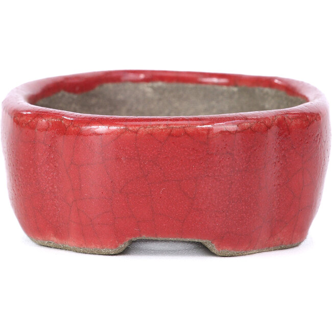 Ovale rode bonsaipot van Terahata Satomi Mazan - 81 x 63 x 27 mm