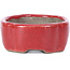 Oval red bonsai pot by Terahata Satomi Mazan - 81 x 63 x 27 mm