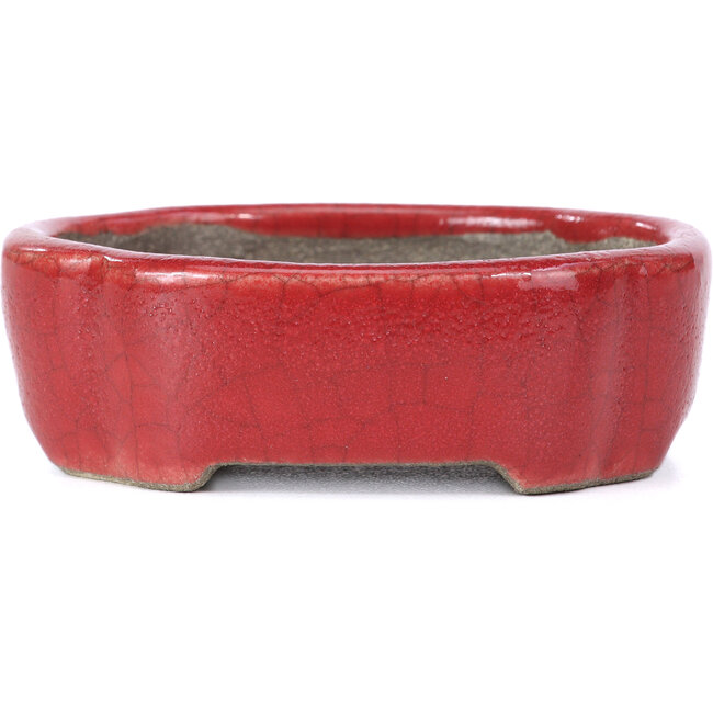 Maceta de bonsái roja ovalada de Terahata Satomi Mazan - 81 x 63 x 27 mm