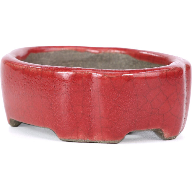 Oval red bonsai pot by Terahata Satomi Mazan - 81 x 63 x 27 mm