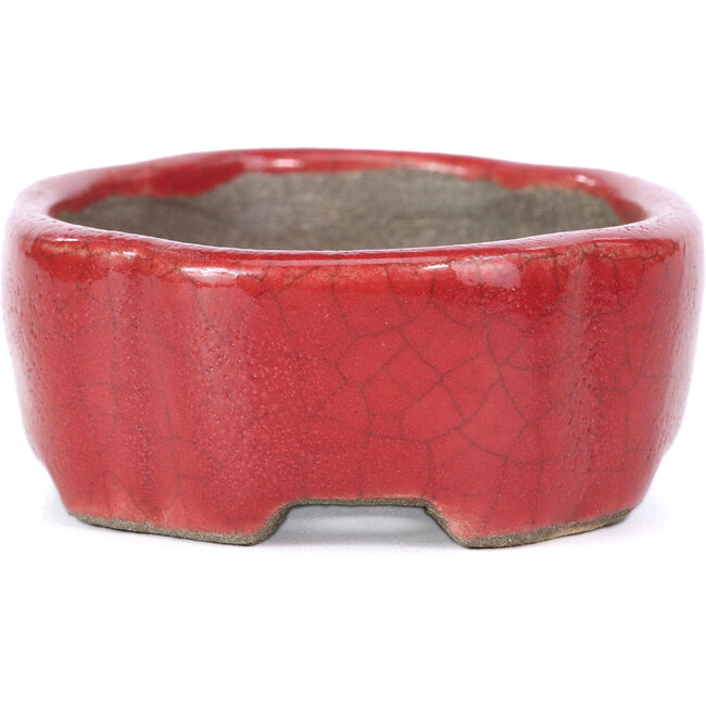 Oval red bonsai pot by Terahata Satomi Mazan - 81 x 63 x 27 mm