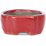 Oval red bonsai pot by Terahata Satomi Mazan - 81 x 63 x 27 mm
