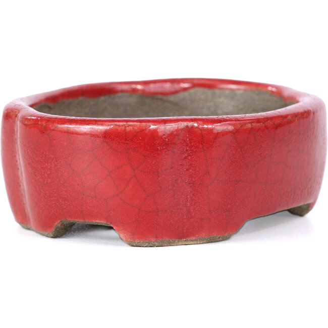 Ovale rote Bonsaischale von Terahata Satomi Mazan - 81 x 63 x 27 mm