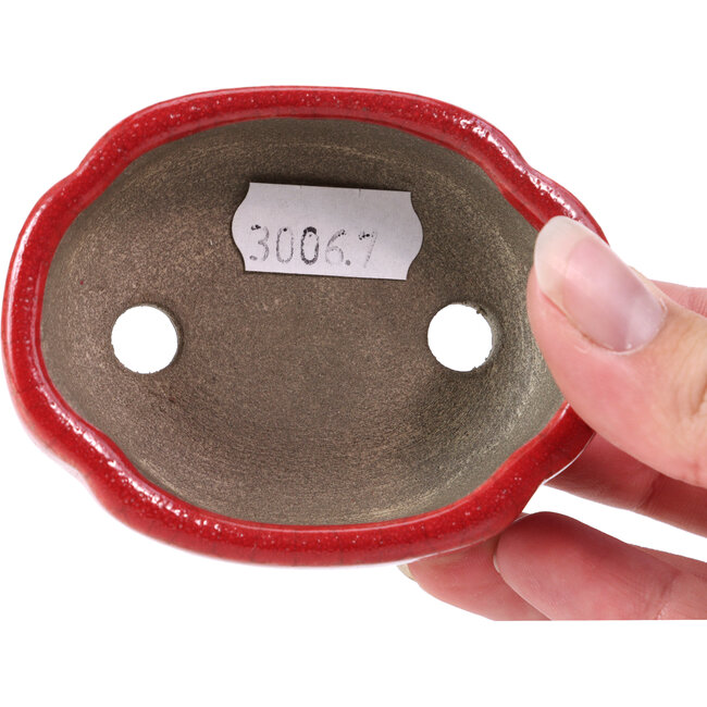 Oval red bonsai pot by Terahata Satomi Mazan - 81 x 63 x 27 mm