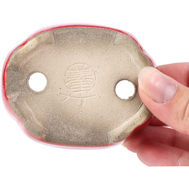 Oval red bonsai pot by Terahata Satomi Mazan - 81 x 63 x 27 mm