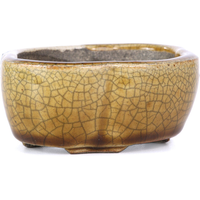 Mokko-beige Bonsaischale von Terahata Satomi Mazan - 101 x 87 x 40 mm
