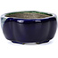 Maceta de bonsái verde Mokko de Terahata Satomi Mazan - 101 x 87 x 40 mm