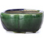 Maceta de bonsái verde Mokko de Terahata Satomi Mazan - 101 x 87 x 40 mm