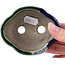 Maceta de bonsái verde Mokko de Terahata Satomi Mazan - 101 x 87 x 40 mm