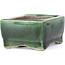 Rectangular green bonsai pot by Terahata Satomi Mazan - 87 x 65 x 37 mm