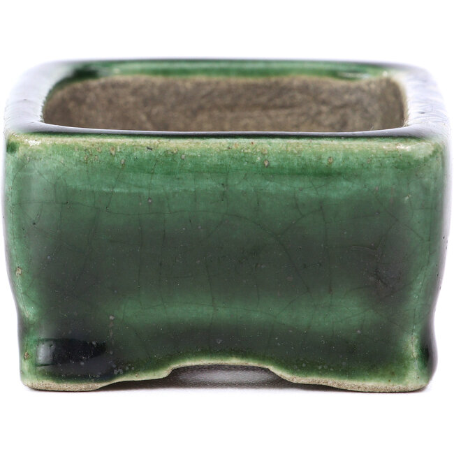 Rechteckige grüne Bonsaischale von Terahata Satomi Mazan - 87 x 65 x 37 mm
