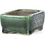 Rectangular green bonsai pot by Terahata Satomi Mazan - 87 x 65 x 37 mm