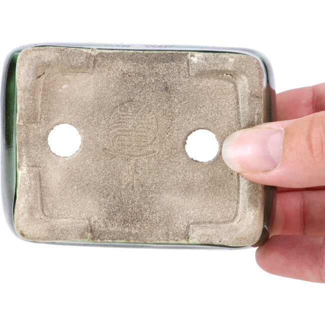 Rechthoekige groene bonsaipot van Terahata Satomi Mazan - 87 x 65 x 37 mm