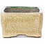 Maceta de bonsái rectangular beige de Terahata Satomi Mazan - 87 x 65 x 37 mm