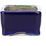 Maceta de bonsái verde rectangular de Terahata Satomi Mazan - 85 x 62 x 37 mm