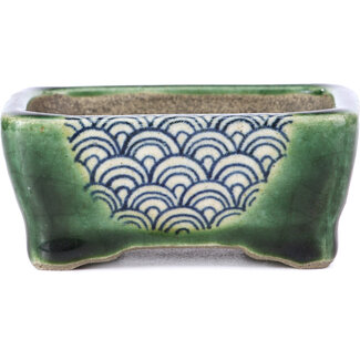  Satomi Mazan, Mazan Terahata Pot à bonsaï vert rectangulaire 87 mm par Terahata Satomi Mazan, Tokoname, Japon