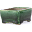 Rectangular green bonsai pot by Terahata Satomi Mazan - 87 x 65 x 37 mm