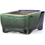 Rectangular green bonsai pot by Terahata Satomi Mazan - 85 x 62 x 37 mm