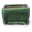 Rectangular green bonsai pot by Terahata Satomi Mazan - 87 x 65 x 37 mm