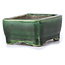 Rectangular green bonsai pot by Terahata Satomi Mazan - 87 x 65 x 37 mm