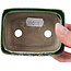 Maceta de bonsái verde rectangular de Terahata Satomi Mazan - 87 x 65 x 37 mm