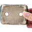 Maceta de bonsái verde rectangular de Terahata Satomi Mazan - 87 x 65 x 37 mm