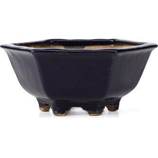  Hattori Tomoyuki 155 mm hexagonal blue bonsai pot by Hattori, Tokoname, Japan