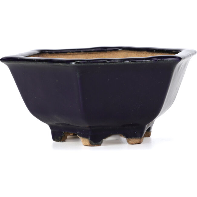 Hexagonal blue bonsai pot by Hattori - 155 x 140 x 70 mm