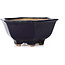 Hexagonal blue bonsai pot by Hattori - 155 x 140 x 70 mm