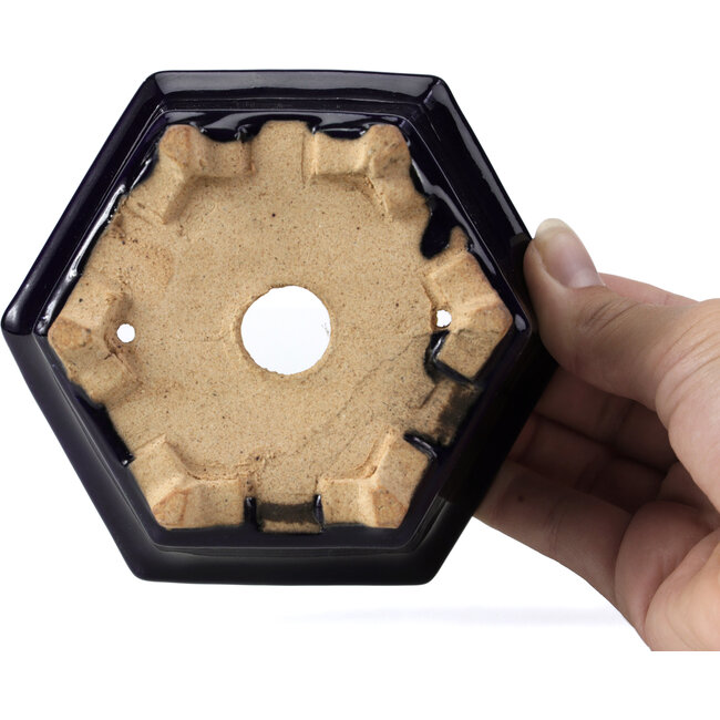 Maceta de bonsái azul hexagonal de Hattori - 155 x 140 x 70 mm