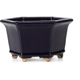 Hattori Tomoyuki 126 mm hexagonal blue bonsai pot by Hattori, Tokoname, Japan