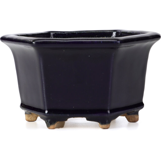 Pot à bonsaï hexagonal bleu par Hattori - 126 x 113 x 72 mm